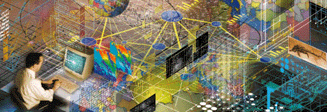 Picture of Web Designer