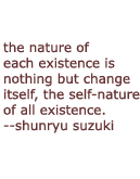 suzuki quote on nature of change