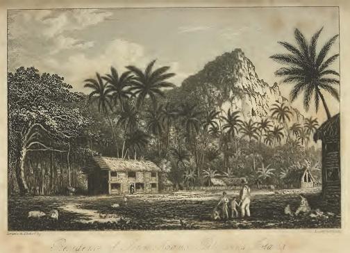 Residence of John Adams on Pitcairn's Island