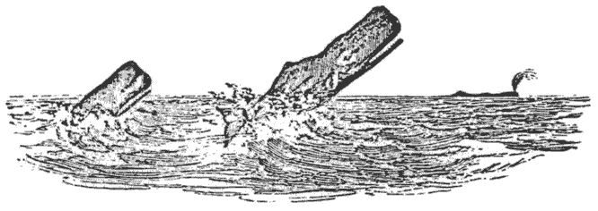 Figure No. 2