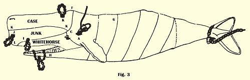 Cutting-In Sperm Whale