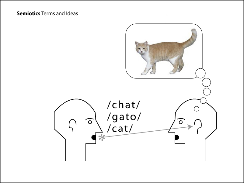 cat3