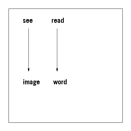 see_read_01