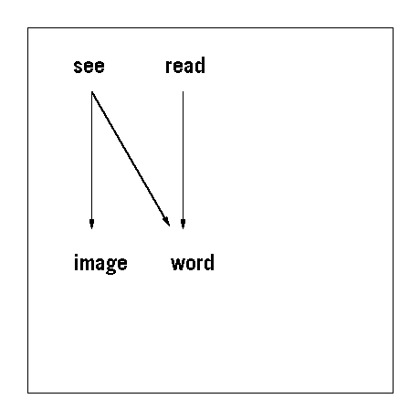 see_read_02