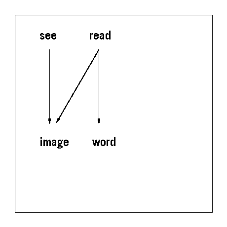 see_read_03
