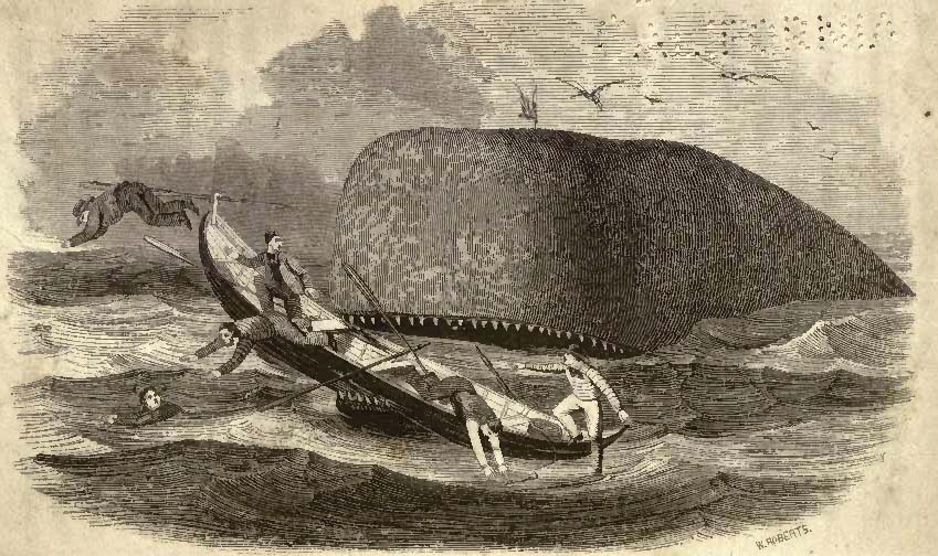 Picture of a Whale-boat thrown into a Whale's Mouth.