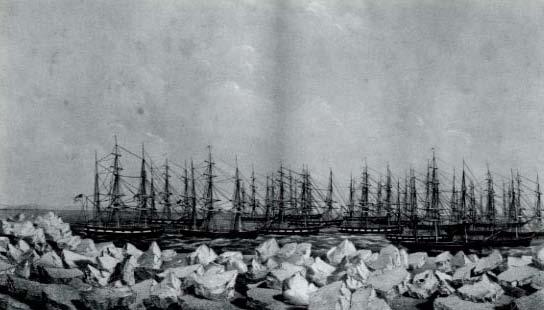 The Loss Of The Arctic Fleet In 1871.