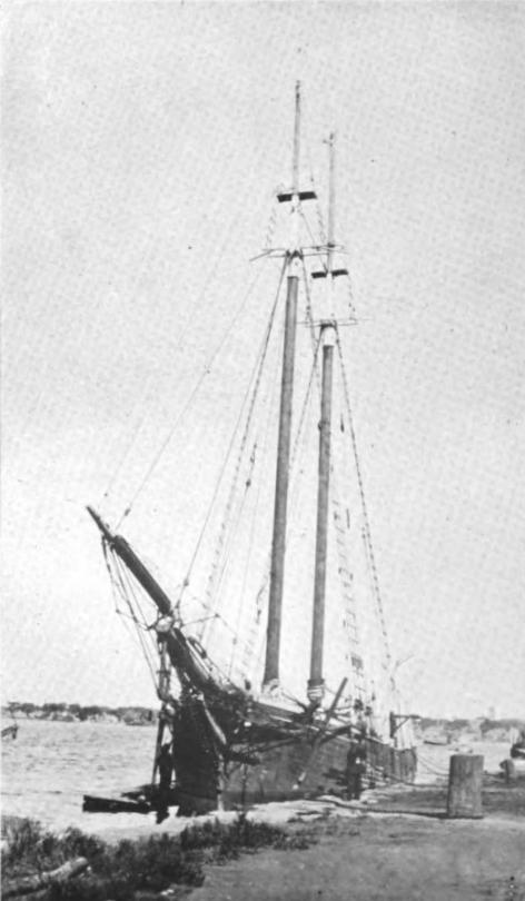 A Typical Whaling Schooner Of To-Day.